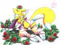 Furry Yiffy Hentai Digimon - Sawblade - Renamon_63_Roses.jpg